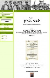 avnej.jpg